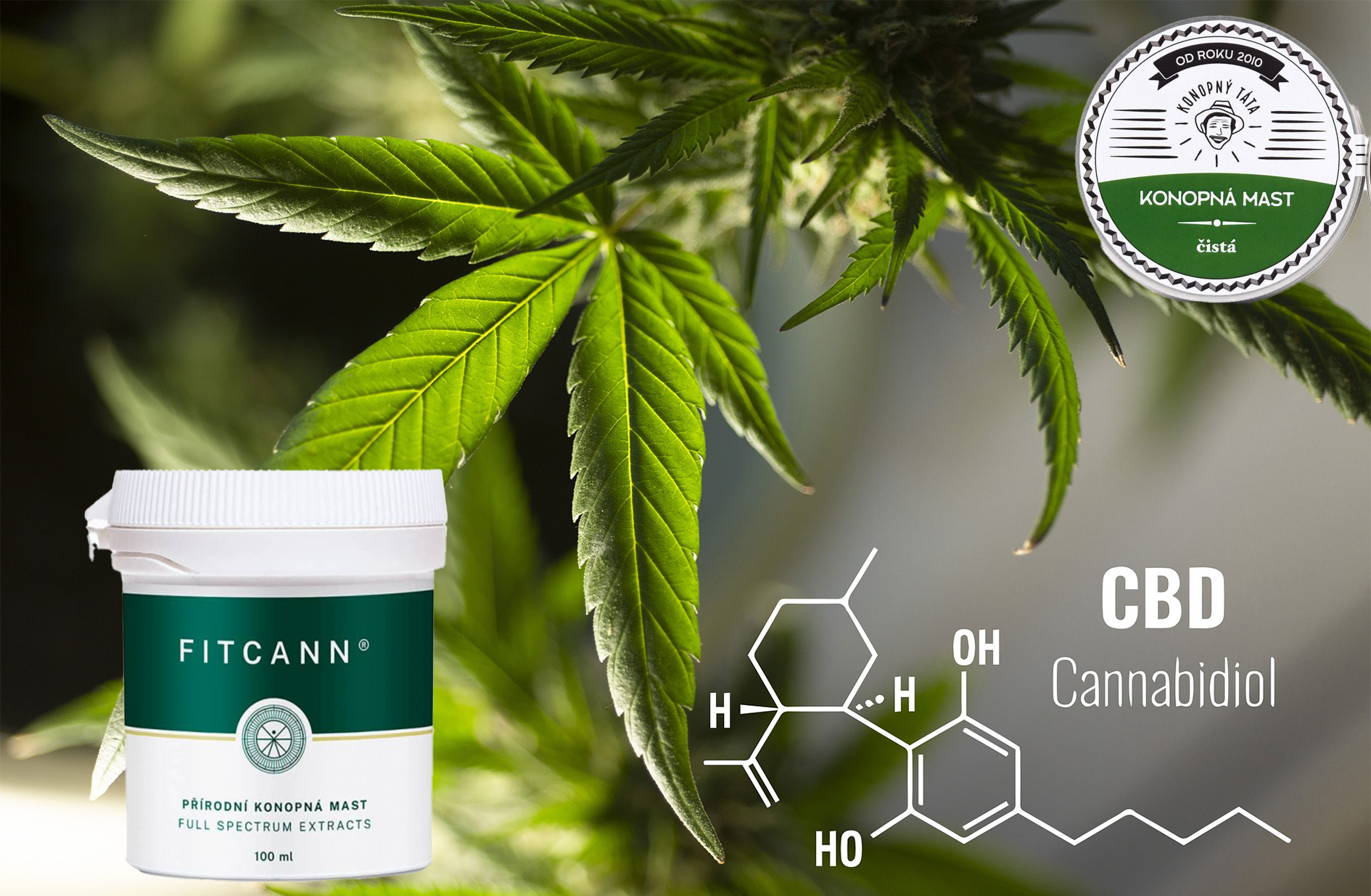fitcann_k___l__nku_o_mastech_1.png